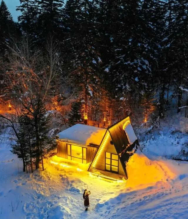 和龙顶流！美翻了！