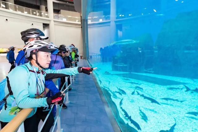 以车轮丈量乡村振兴新图景——上海·市民乡村定向骑行赛崇明陈家镇站举办