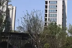 北岸绿茵城宣布延期 开发商承诺7月底完成交付图片