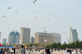 潍坊：清明时节人民广场化身风筝海洋，赏樱之余体验鸢都风情图片