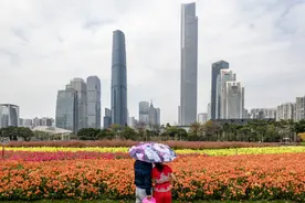 解码人气广州②| 广州为何是国内游“稳定热门”？图片