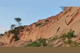 好消息！北京永定河畔，崖沙燕的家留住了图片