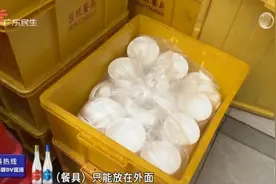 餐厅又出事！10只老鼠爬上餐具觅食图片