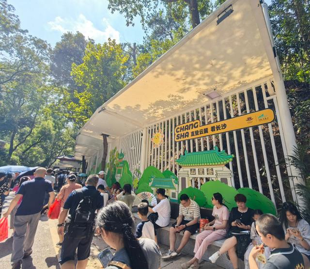 岳麓山人多了，也更好逛了