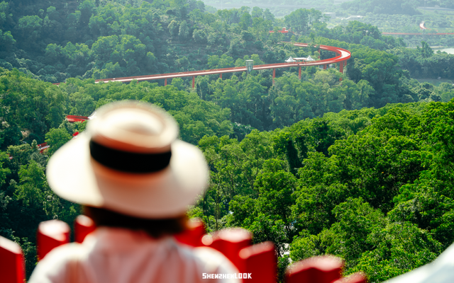 深圳环境五星的「网红公园」，不能再低调了