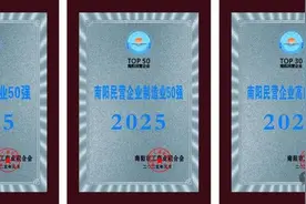 “2025南阳民营企业50强”揭晓 牧原龙成金碧飞龙分列四个榜单首位图片