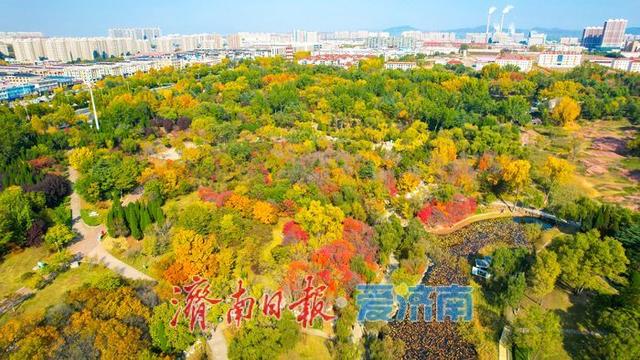 莱芜红石公园秋意浓 红石秋叶绘就多彩画卷
