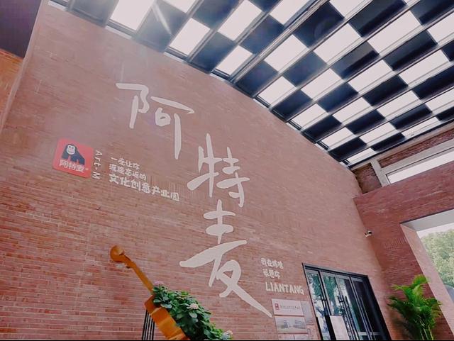 从“上海西伯利亚”到网红村，整村运营让青浦这个村脱胎换骨