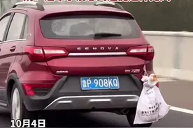 网友在高速拍到一只鹅被挂在后备箱外，车速太快鹅毛都飞起来了。鹅:这辈子没想到还能这样兜风图片