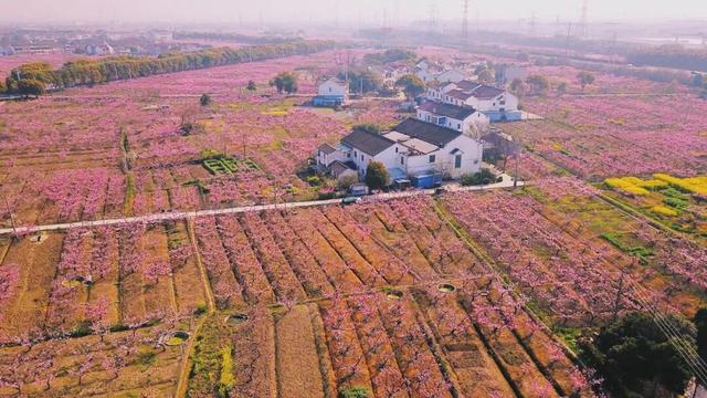 阳山自然驿站矩阵落成，全域科学体验线路启用