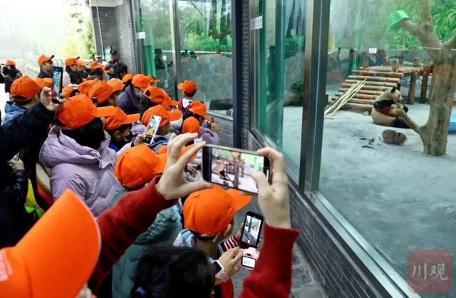 引爆研学热！宜宾首个秋假文旅成绩单来了