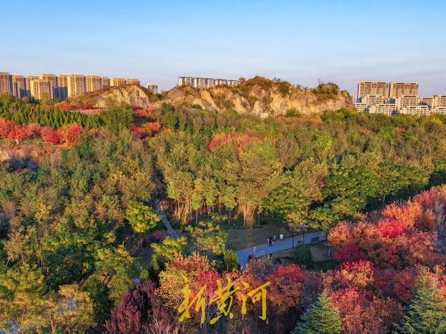 五彩斑斓入画来！卧牛山秋日氛围感拉满 | 新黄河AI音乐