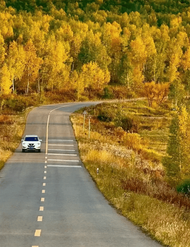 G331→G334，来延边体验全新东北故事