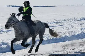 【荇走十四冬】当十四冬遇到元宵节，雪地赛马奋蹄扬鞭图片