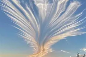 湖北天空出现“凤舞九天”奇观 专家：是一片漂亮的毛卷云图片