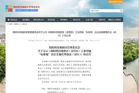 绵阳市首个！绵阳科技城新区工业用地“标准地”新政今起施行图片
