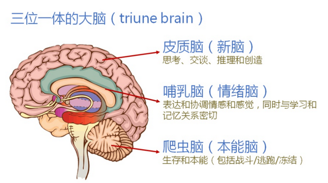 郝景芳：任何跟你说，学某某专业将来不会被AI淘汰的，都绝对不要相信｜一席少年第20位讲者