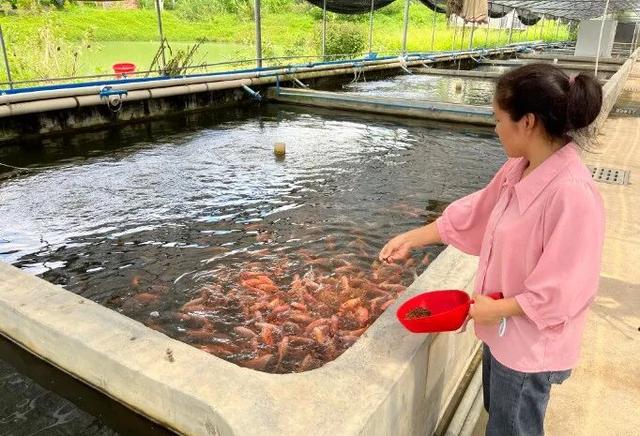 央视大片《珠江》里的花都⑤：山水滋养的田园至味