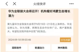 宁德时代推锂钠超级增混新技术，高手看好这个赛道！图片