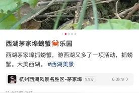 杭州西湖茅家埠有红螃蟹？有人抓了三只，有人专门来找，景区回应了图片
