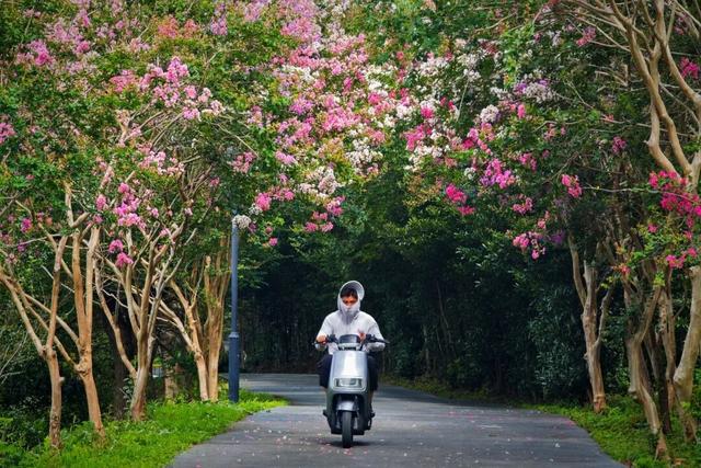 四时天工 扬州如画