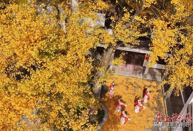 2025南岳衡山国际登山赛将于11月23日鸣枪启幕