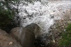 中央生态环保督察组：青海两市污水处理厂建设滞后 大量污水溢流直排图片