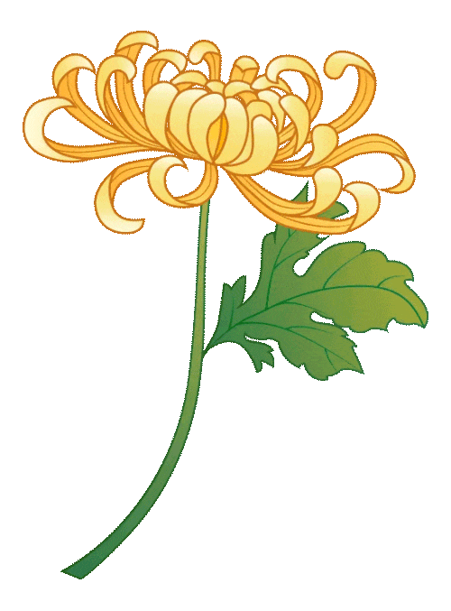 登高望远在龙虎，重阳遇见好秋光！