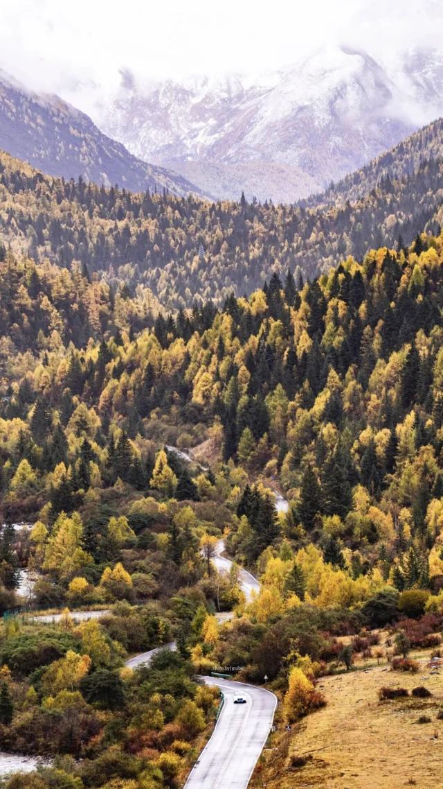 听说放秋假了？新都桥这波秋日余温太美了