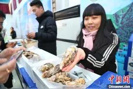 山东乳山：“牡蛎+文旅”激活城市冬季消费活力图片
