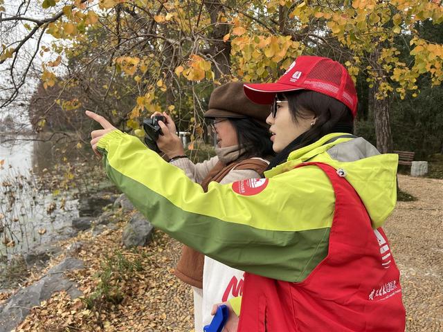 武汉文旅志愿者守护东湖飞鸟，绘就生态文旅画卷