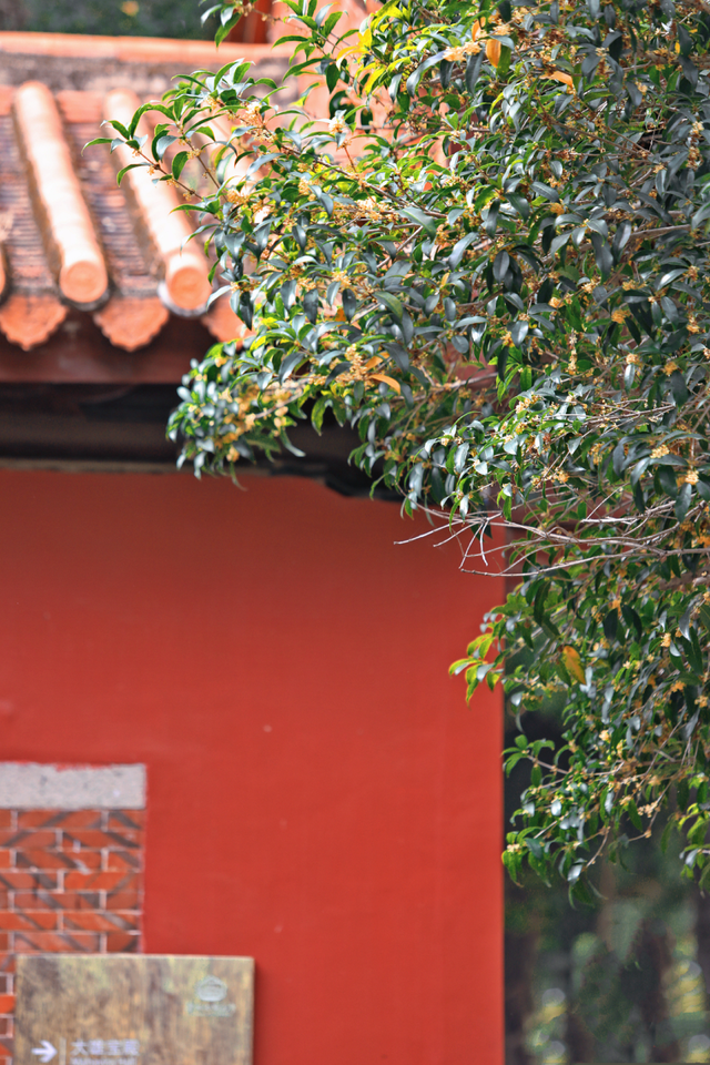 破案了！西街飘散的香味，源头竟然在开元寺