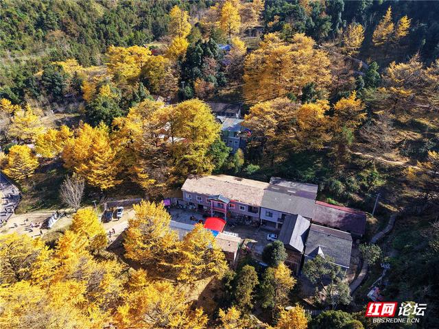 【每日一图@湖南】在永州桐子坳，我找到了最动人的浪漫