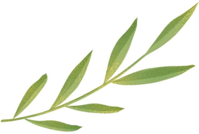 乘着高铁游白山 | “百区百景”打卡攻略之白山市四季冰雪旅游乐园