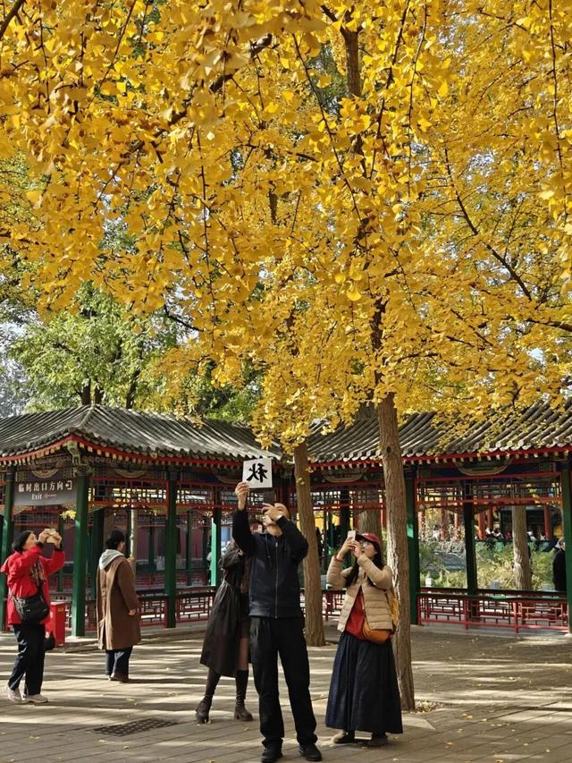 北京赏秋“绝配”来了！