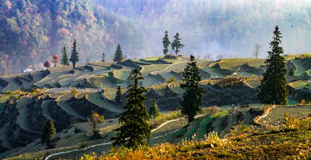 重庆酉阳：霜落梯田 晨景如画