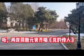 听，两岸同胞元宵齐唱《龙的传人》图片