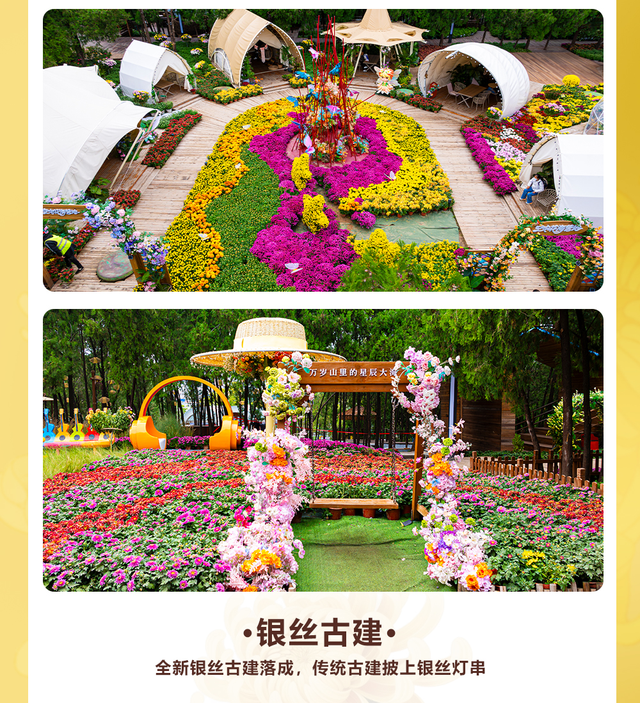 中国开封第43届菊花文化节｜王巨星喊你来万岁山赏菊花
