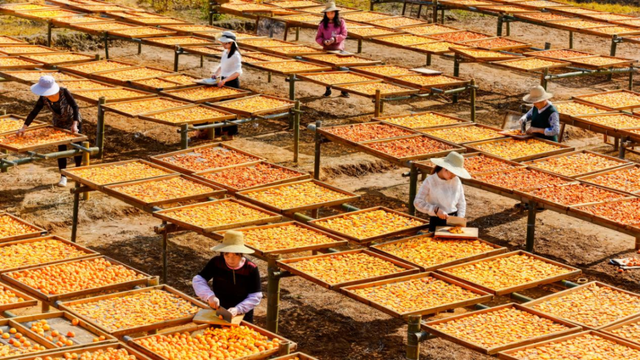 短短短短短……且赏且珍惜