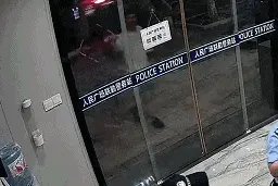 父子在浙江海宁街头捡到只“泰迪”，民警一眼认出小狗身份不简单……图片