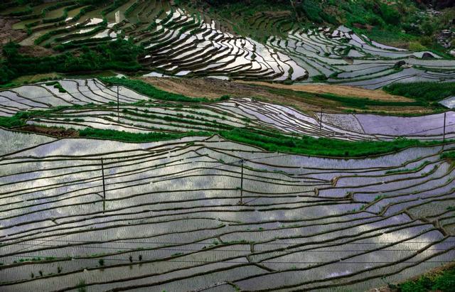 生态为底文化为魂——在双柏邂逅全新的旅居生活
