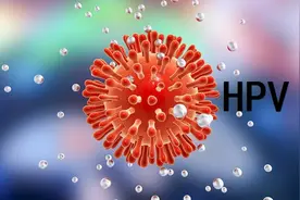 【汤医科普】HPV病毒：我们必须了解的小小病毒图片