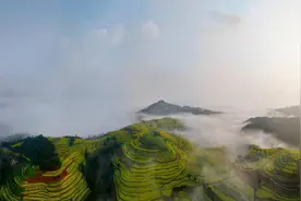 美好生活在云南｜揽云漫步，沉醉罗平马街云上花梯间图片