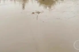 昨日今晨 重庆江津、涪陵等5个区县出现暴雨图片