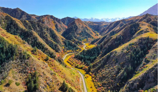 甘肃张掖：秋日祁连山风景如画 雪山金草绘就壮美诗篇