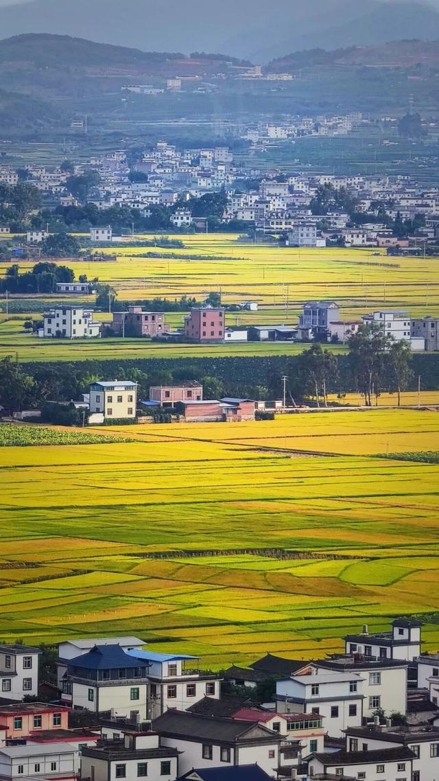 等等会有好时候 | 阿措