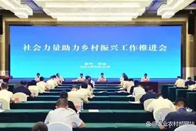 经验交流 ｜ 2024年度沪滇协作典型案例九：“三措共推”发挥“三作用” 社会帮扶花开彩云南图片