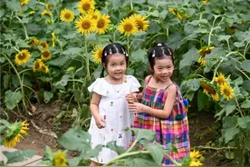 打卡！福州游园赏花好去处！图片