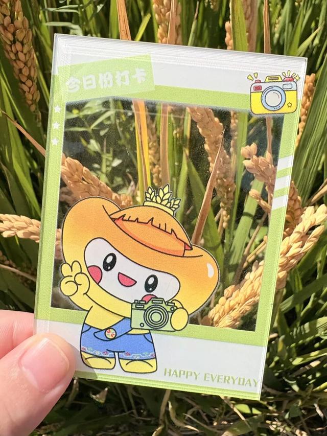 举张透卡逛罗泾！解锁宝山秋日新玩法，一起拍爆朋友圈~