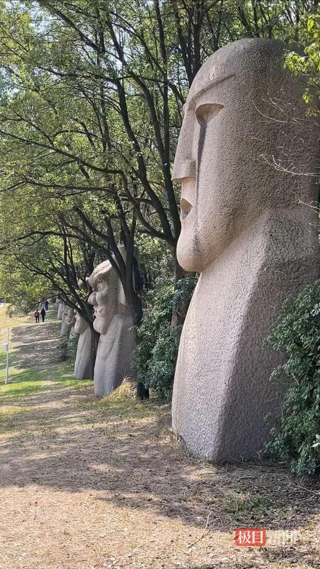 南昌一处林间小路成新晋网红打卡地，被称为现实版的“绿野仙踪”